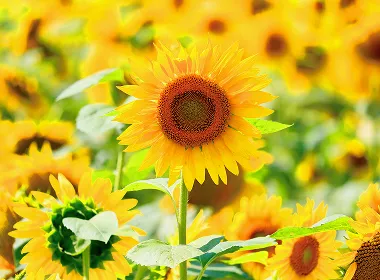 クリニックイメージ