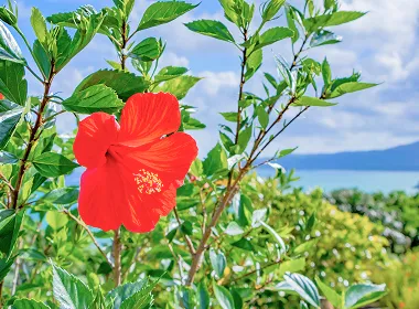 クリニックイメージ